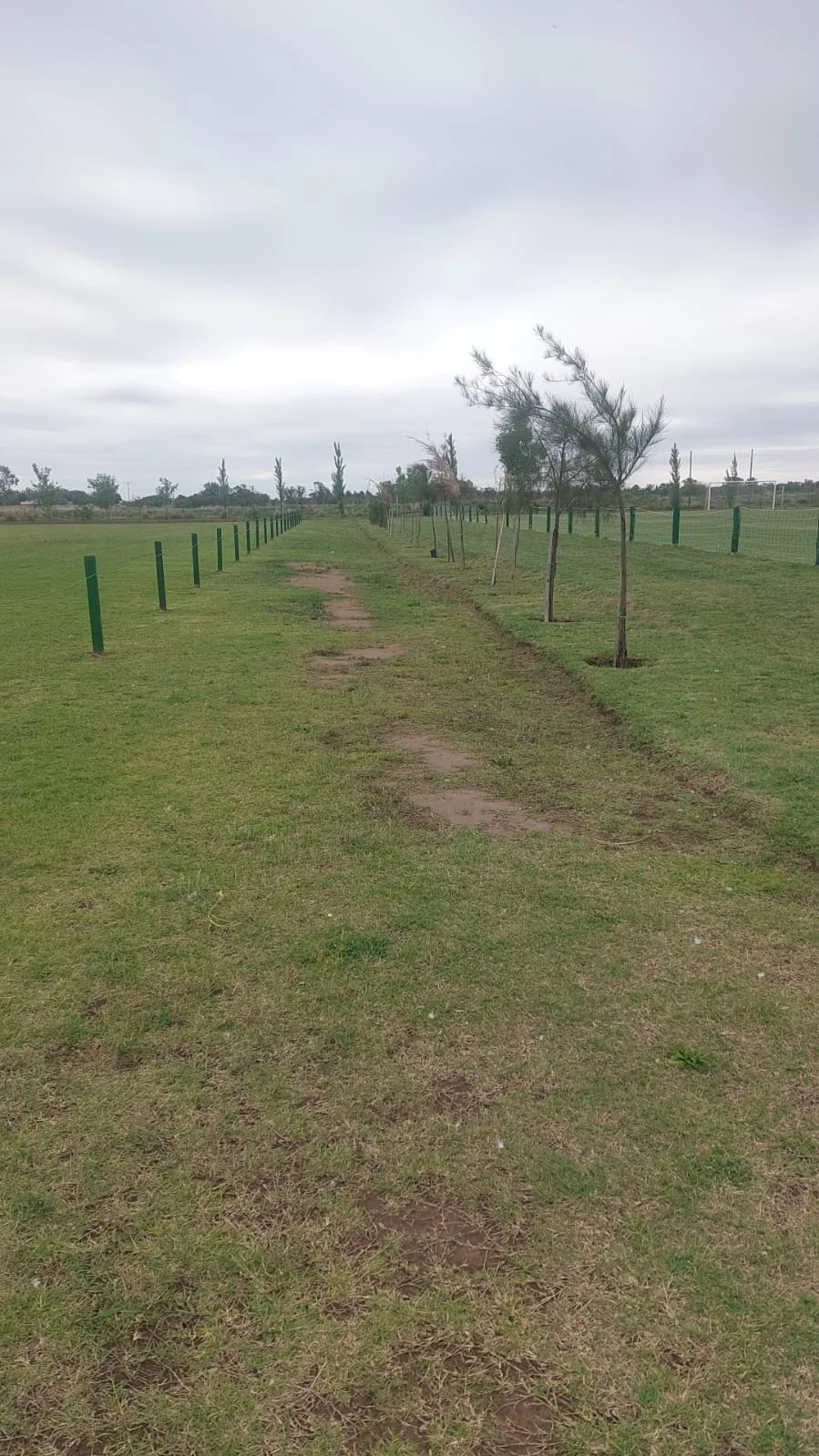 Las Cortaderas y Aguas De La Patagonia