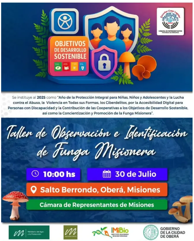 Taller de Funga Misionera en Oberá: una oportunidad para descubrir los hongos nativos de nuestra selva