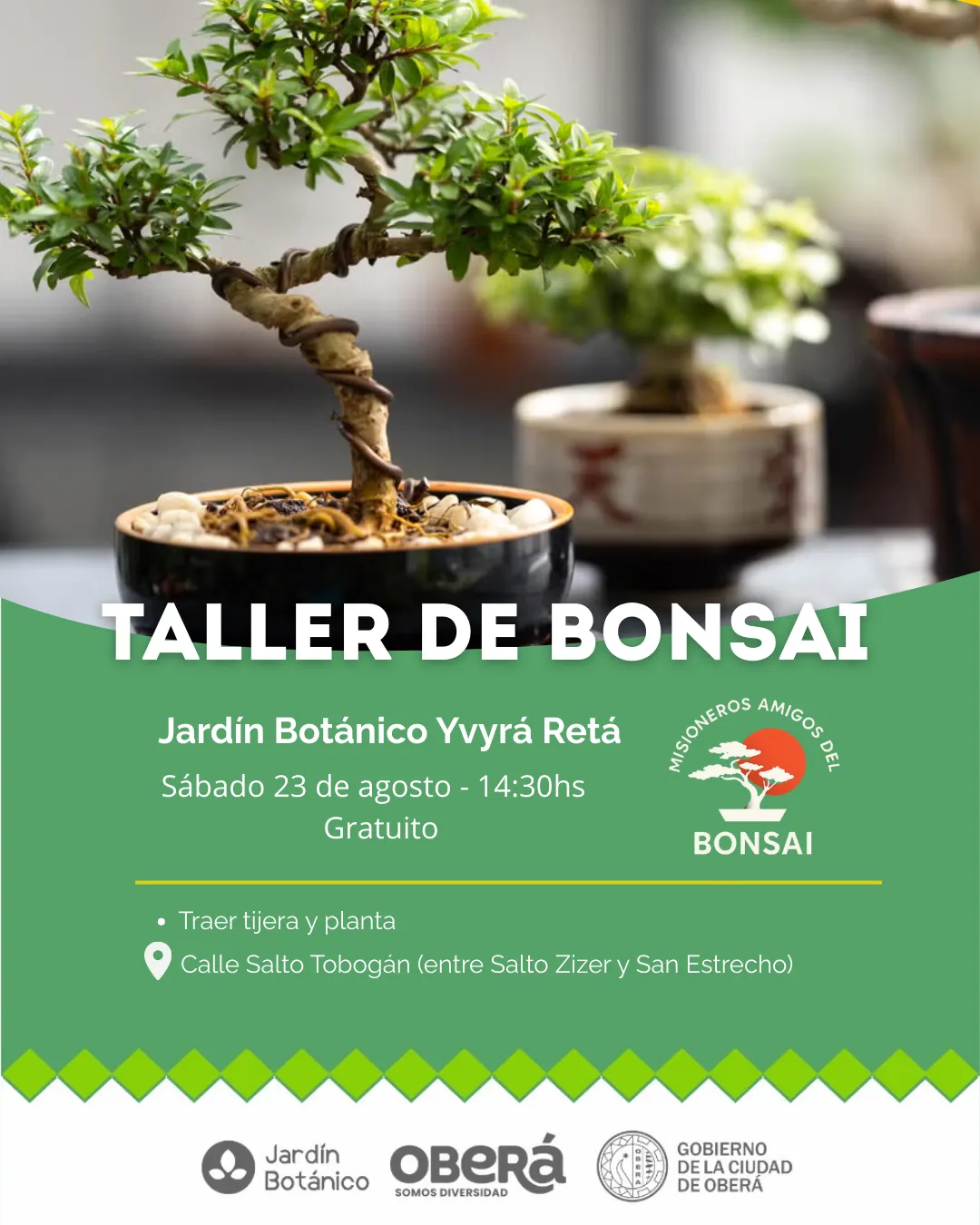 Taller de Bonsai