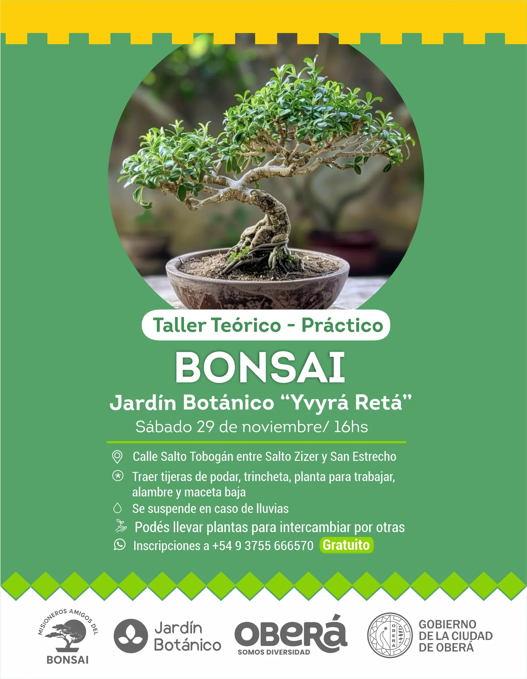 Taller Teórico - Práctico Bonsai
