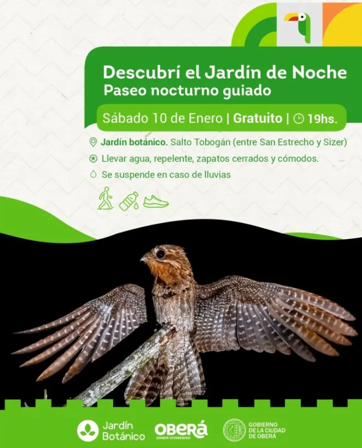 Oberá potencia su verano:  tras el éxito de 2025, vuelve el hermoso Paseo Nocturno en el Jardín Botánico